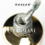 pol_pm_S48-Shinel-STARMANI-955_3.png