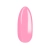 91505.webp