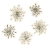 ozdoba-do-paznokci-suszone-kwiatki-mollylac-white-5szt.jpg