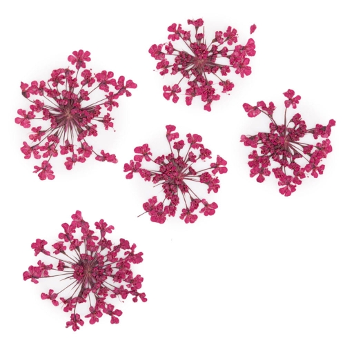 ozdoba-do-paznokci-suszone-kwiatki-mollylac-fuchsia-5szt.jpg