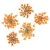 ozdoba-do-paznokci-suszone-kwiatki-mollylac-orange-5szt.jpg