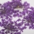 ozdoba-do-paznokci-suszone-kwiatki-mollylac-purple-5szt (1).jpg