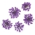 ozdoba-do-paznokci-suszone-kwiatki-mollylac-purple-5szt.jpg