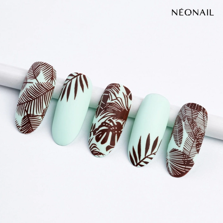 product-25158 (1).jpg