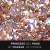 pol_pl_PG02-Princess-Gel-Rose-Gold-5ml-1323_1.png