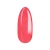 005_K_013.webp