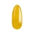 005_K_010.webp