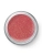 Seashell_Pink_P_02.webp