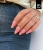 pro-light-builder-peachy.webp