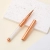 8P8A7563.webp