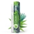 oliwka-aloes.jpg