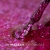 pol_pl_S58-Pink-Star-Lakier-hybrydowy-Makear-1432_3.jpg