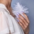 1562-7-3_slideThumb.jpg