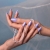 1562-7-5_slideThumb.jpg