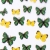 folia-transferowa-spring-100-cm-nr-9 (1).jpg