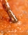 pol_pl_S65-Lakier-hybrydowy-Makear-8ml-1552_4.webp