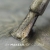 topcateye-mass-2-SQ.jpg