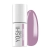 No_244_1.webp