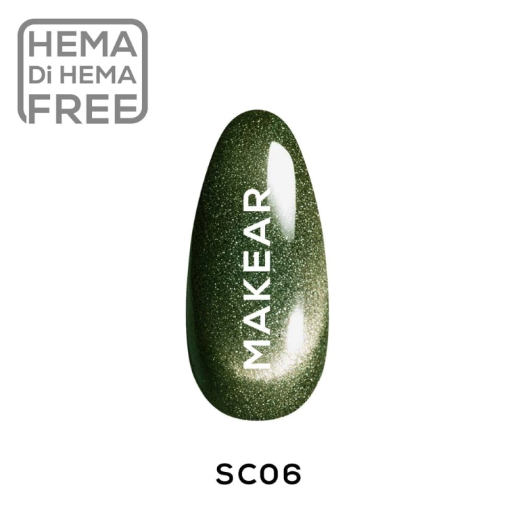 SC06.jpg