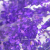 png-4-600x600 (1).png