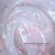 spring 3.webp