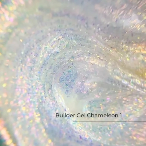 chameleon1.webp