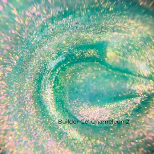 chameleon2.webp
