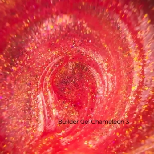 chameleon3.webp