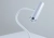44.webp