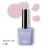13333.webp