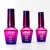 pol_pl_Top-Liquid-Glass-Molly-Nails-no-wipe-bez-przemywania-HEMA-Di-HEMA-Free-clear-10g-29621_3.jpg