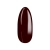 No_293__05.webp