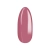 No_294__05.webp